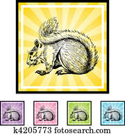 Squirrel Squirrel