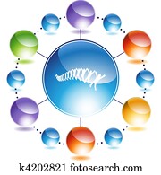 עמוד שדרה, התחבר