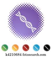 DNA DNA