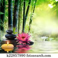 massage in nature - lily, stones massage in nature - lily, stones
