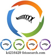 עמוד שדרה, התחבר