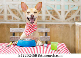 cão, comer, um, a, tabela, com, alimento, tigela