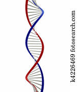 DNA DNA