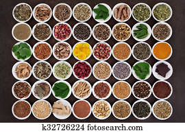 herbes médicinales, pour, femmes