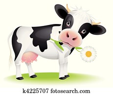 Little cow eating daisy Little cow eating daisy