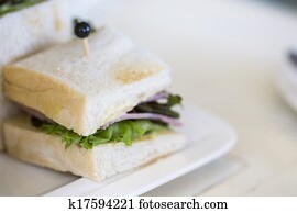 sandwich sandwich