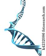 dna helix dna helix