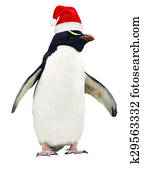 Isolated dirty penguin