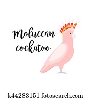 Pink tropical moluccan cockatoo parrot