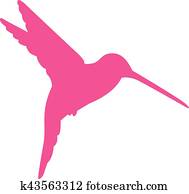rosa, kolibri rosa, kolibri