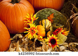 Thanksgiving Fall Setting