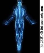 uprising human body uprising human body