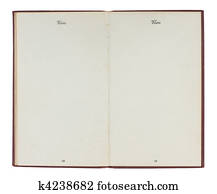 Vintage United States Passport with Blank Pages