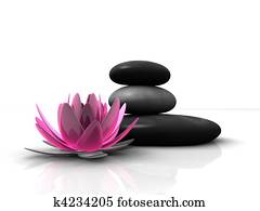 wellness wellness