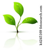 branch of sprout with green leaves branch of sprout with green leaves