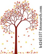 colorful autumn tree colorful autumn tree