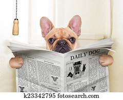 dog toilet dog toilet