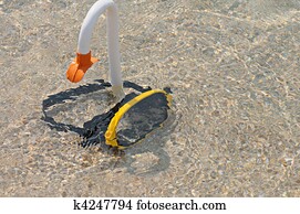 Scuba Diving Stock Photo Images. 42,272 scuba diving royalty free pictures and photos available