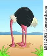 Ostrich hiding head in sand Ostrich hiding head in sand
