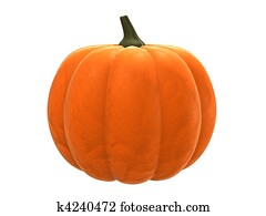 pumpkin pumpkin