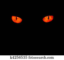 Animal eyes in black Animal eyes in black