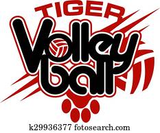 tiger volleyball tiger volleyball