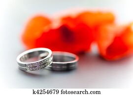 Wedding rings and tullips Wedding rings and tullips