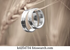 Wedding rings and wheat Wedding rings and wheat