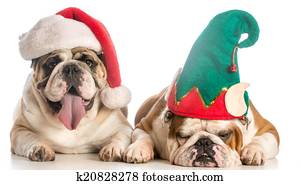 christmas dogs christmas dogs