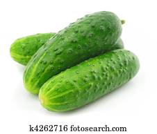 verde, pepino, vegetal, fruta, isolado