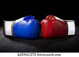 Boxing Gloves Boxing Gloves