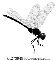 Dragonfly Dragonfly