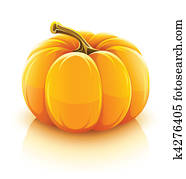 orange pumpkin vegetable orange pumpkin vegetable