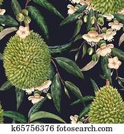 Watercolor durian tropical seamless pattern