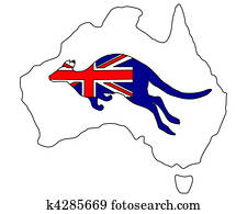 Australian kangaroo Australian kangaroo