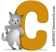 C for Cat C for Cat