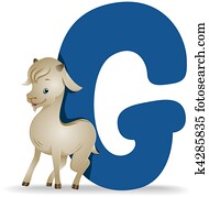 G for Goat G for Goat