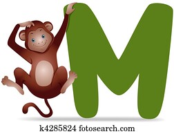 M for Monkey M for Monkey