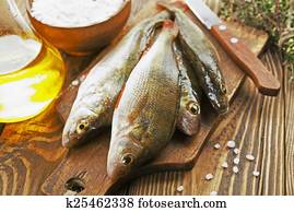 Perch, fish