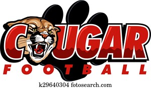 puma, football puma, football