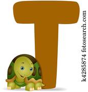 T for Turtle T for Turtle