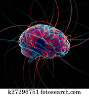 Thinking brain Thinking brain