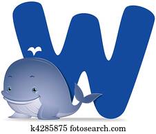 W for Whale W for Whale