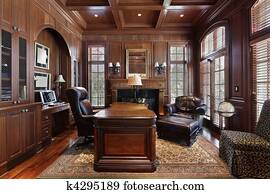 Library in luxury home Library in luxury home