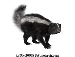 3d, fazendo, gambá, branco