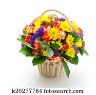 flower flower