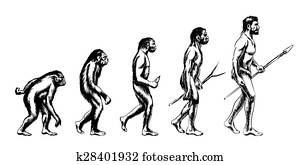 Human evolution illustration Human evolution illustration