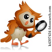 Owl Search Owl Search