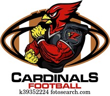 cardinals football cardinals football