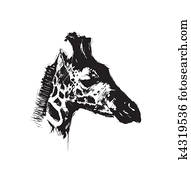 giraffe giraffe